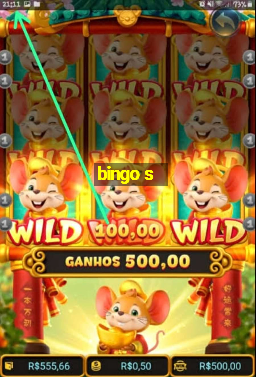 bingo s