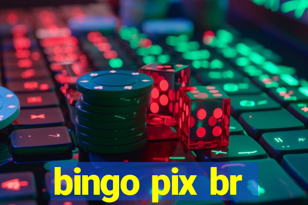 bingo pix br