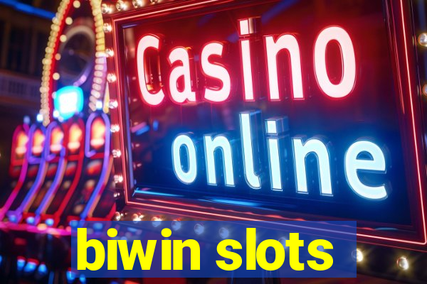 biwin slots