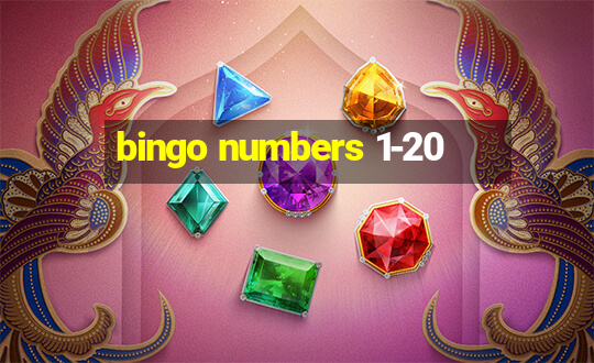 bingo numbers 1-20