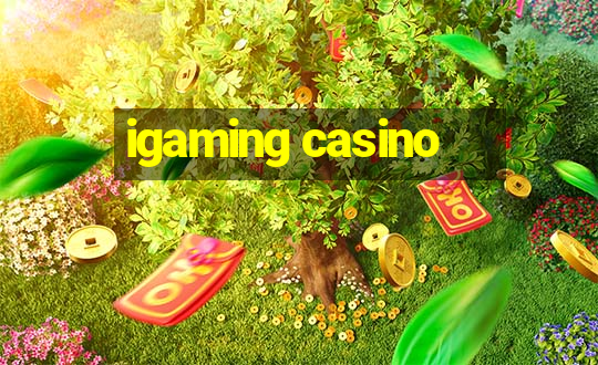 igaming casino