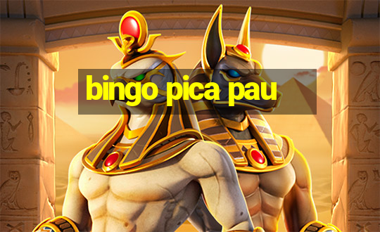 bingo pica pau