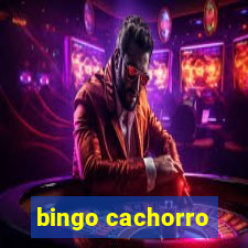 bingo cachorro