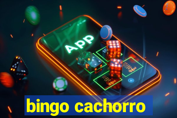 bingo cachorro