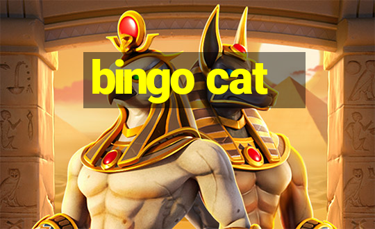 bingo cat