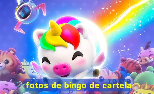 fotos de bingo de cartela