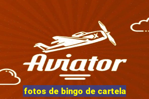 fotos de bingo de cartela