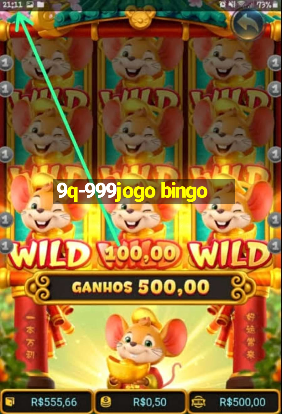 9q-999jogo bingo