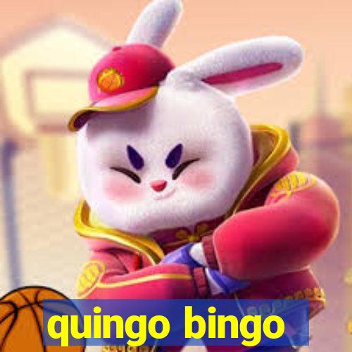 quingo bingo