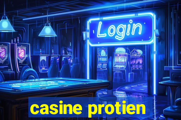 casine protien