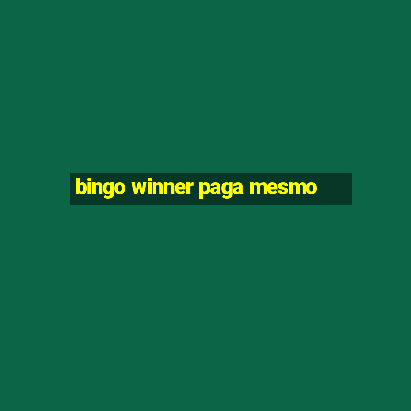 bingo winner paga mesmo