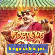 bingo online pix