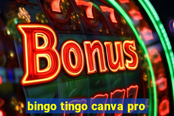 bingo tingo canva pro