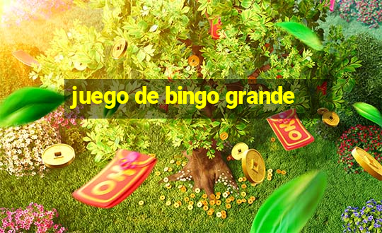 juego de bingo grande