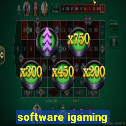 software igaming