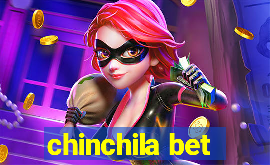 chinchila bet