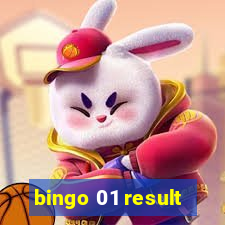 bingo 01 result