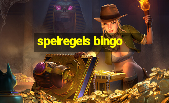 spelregels bingo