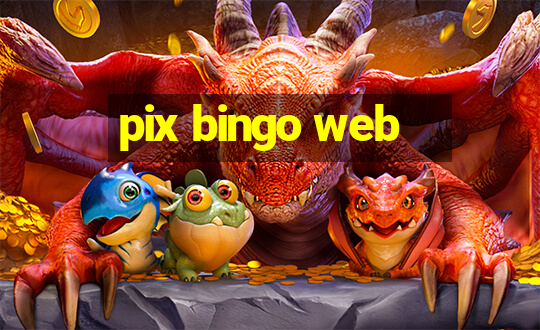 pix bingo web