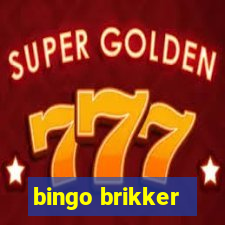 bingo brikker