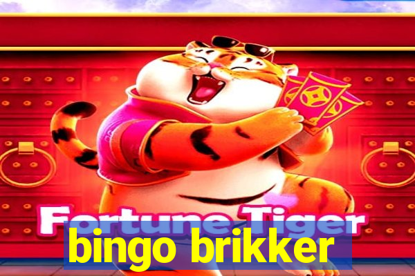 bingo brikker