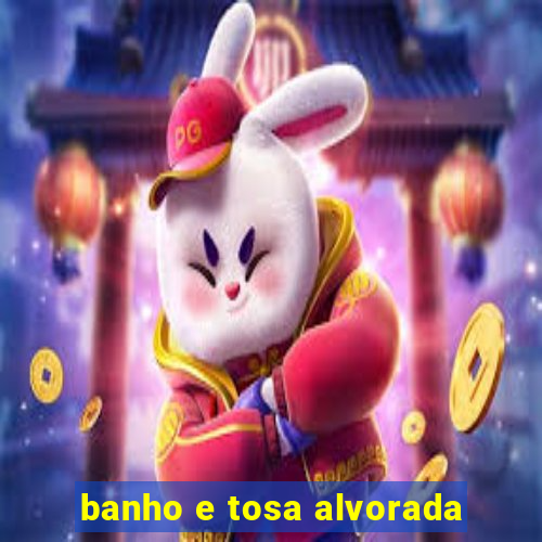 banho e tosa alvorada