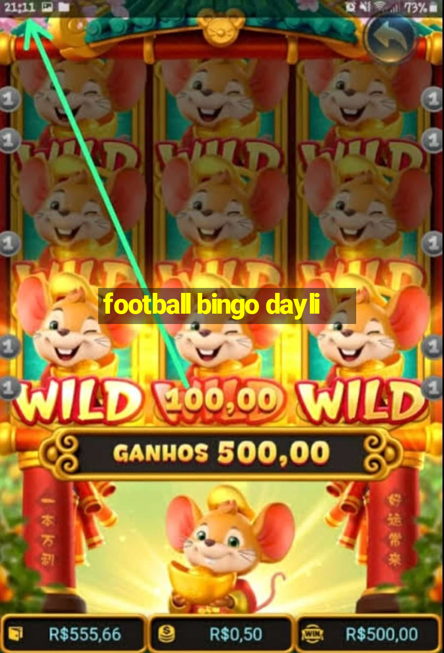 football bingo dayli