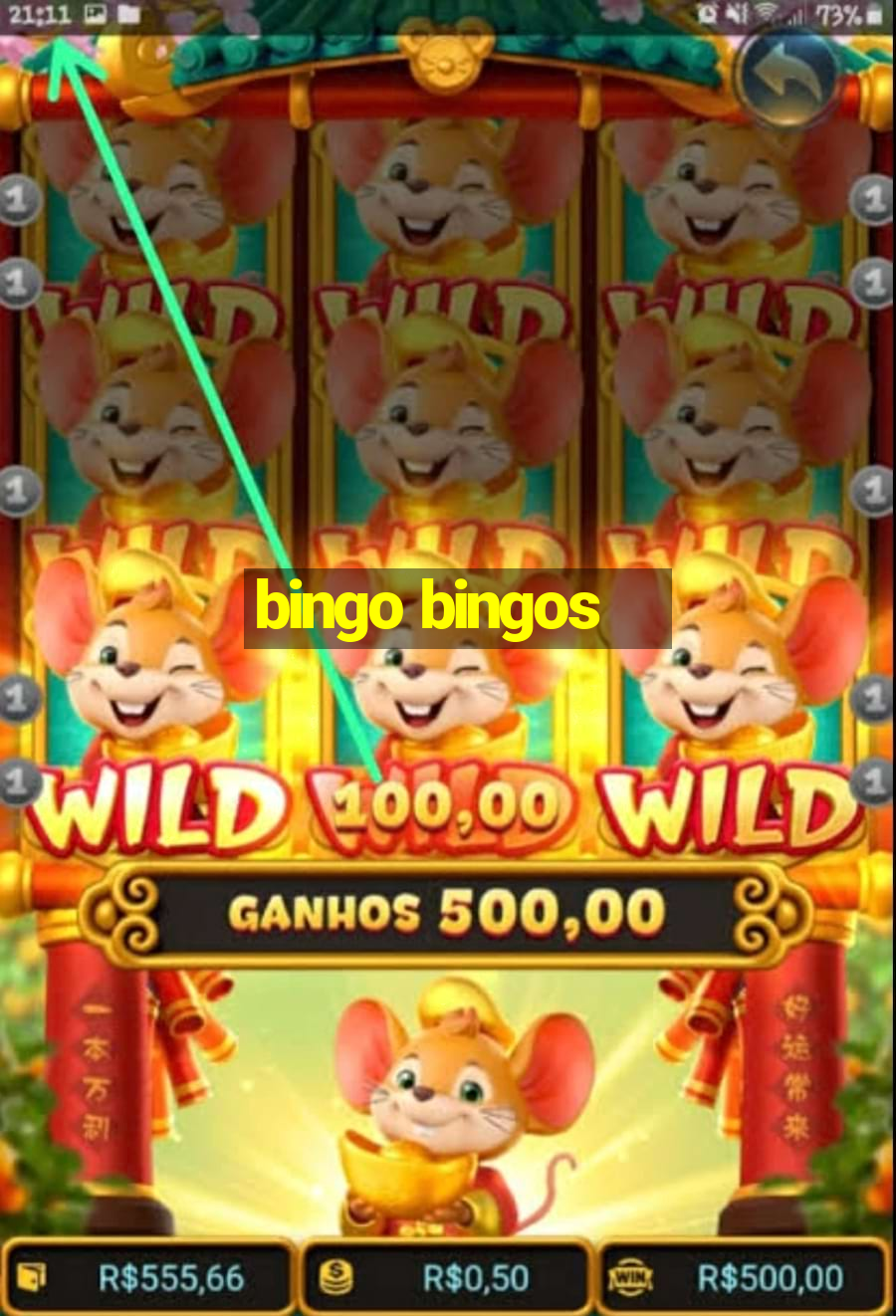 bingo bingos