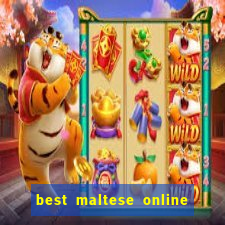 best maltese online bingo sites