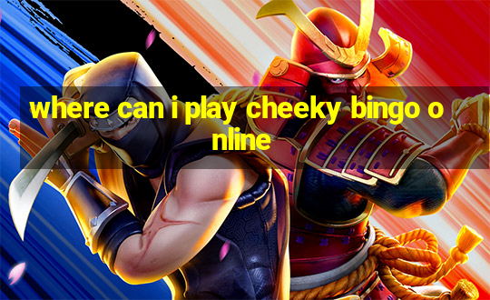 where can i play cheeky bingo online