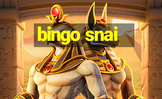 bingo snai