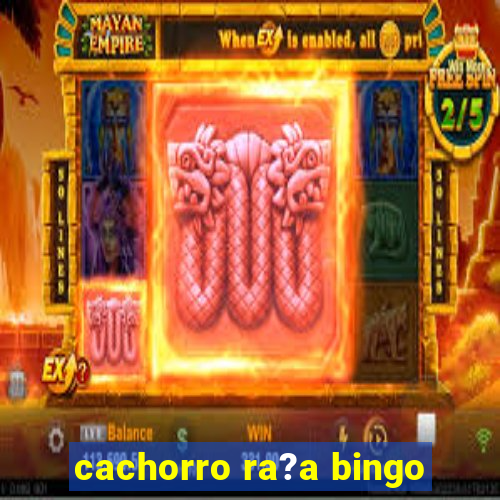 cachorro ra?a bingo