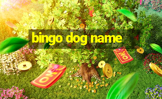 bingo dog name