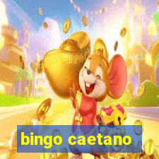 bingo caetano