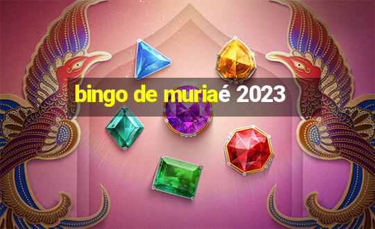 bingo de muriaé 2023