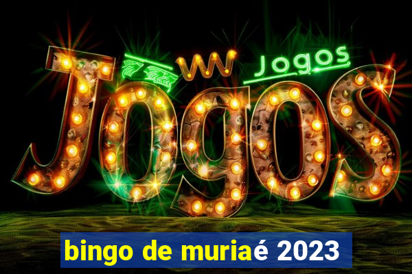 bingo de muriaé 2023