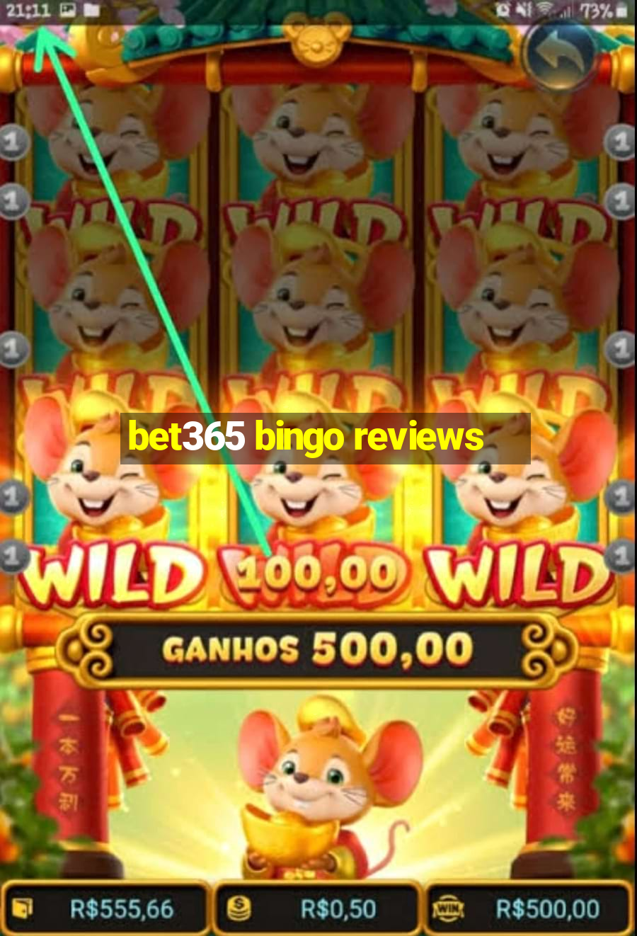 bet365 bingo reviews