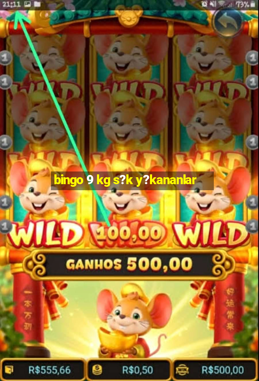 bingo 9 kg s?k y?kananlar